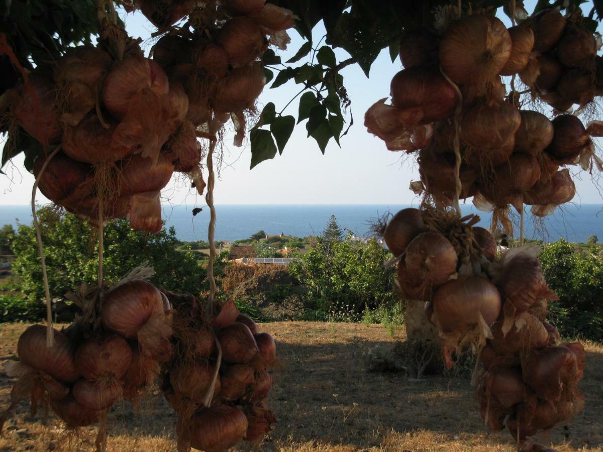 Agriturismo Pagliuzzo Isola di Ustica Esterno foto